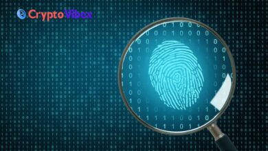 Blockchain Forensics Deciphering Digital Transactions