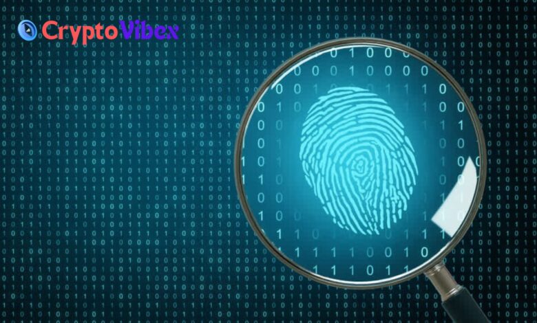 Blockchain Forensics Deciphering Digital Transactions