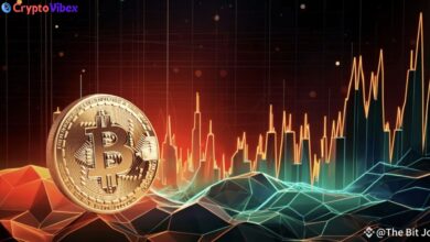 Investing in Cryptocurrency An Investigation into the Future