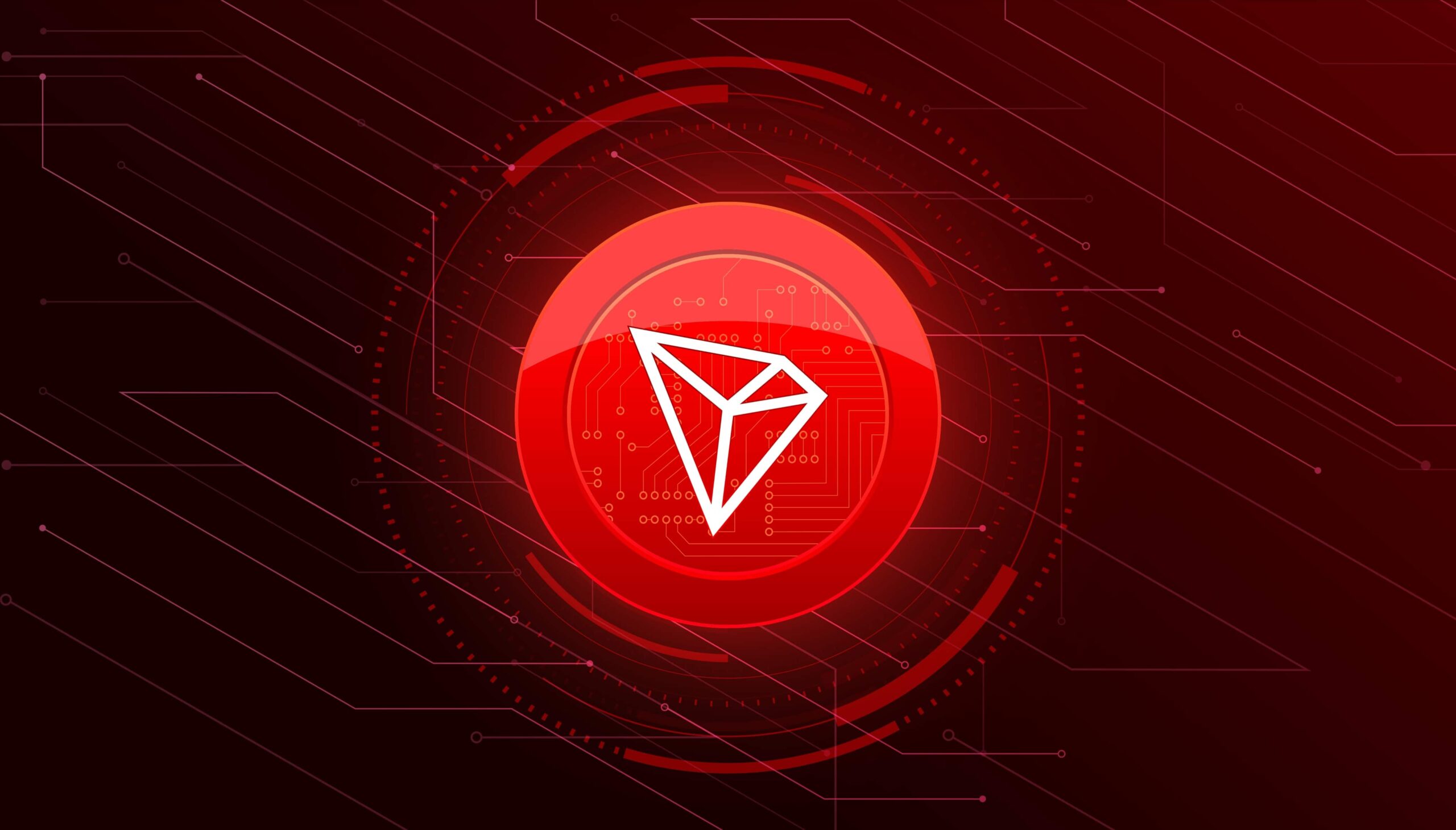 TRON's Growing Adoption and DeFi
