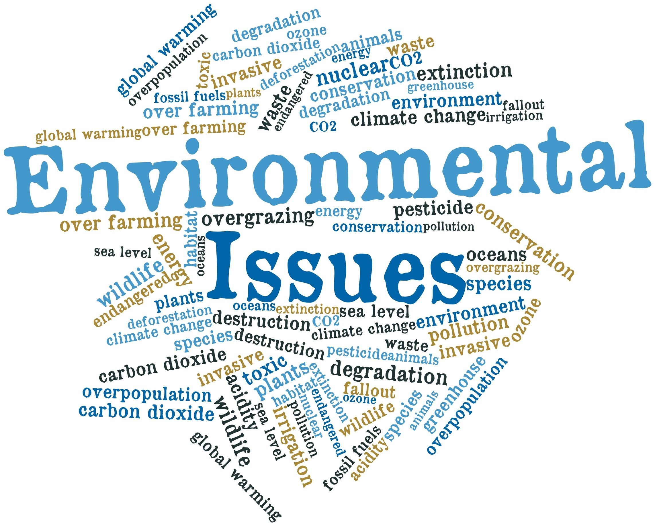 Regulatory and Environmental Issues