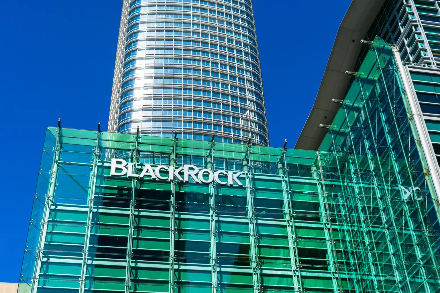 Strategic Action of BlackRock