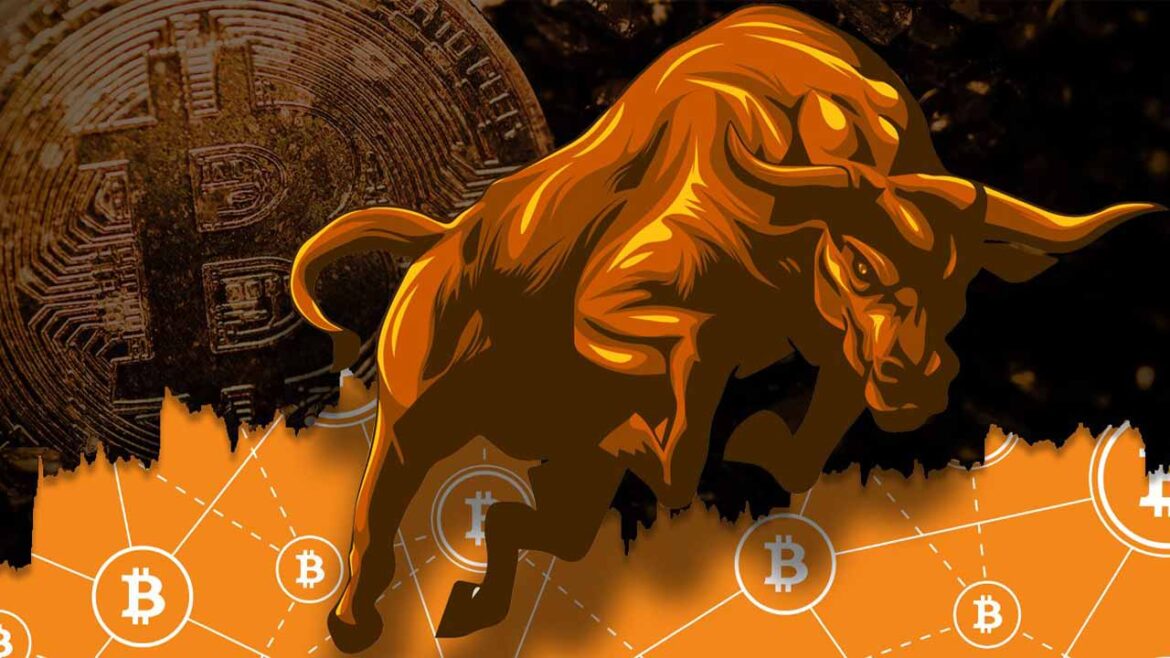 Bitcoin Bull Markets