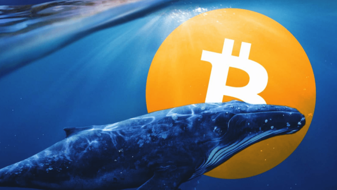 Bitcoin Nears $100K Amid Whale Activity Decline